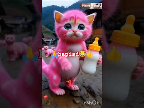 Cute Pomeranian funny things 😍#music #cute #barkingbliss #cover #dog #pets #baby #funny ##short. vi🙏