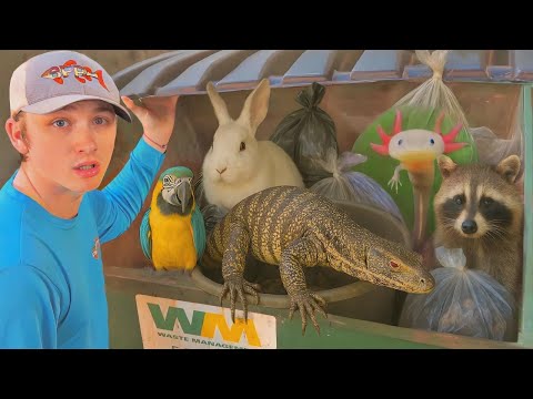 Encontré ANIMALES VIVOS en el BOTE de BASURA de una tienda de mascotas!