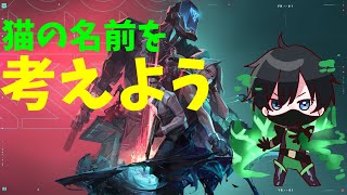 【VALORANT】猫の名前を考える【Vtuber】