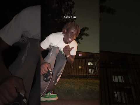 Getting robbed with my dog