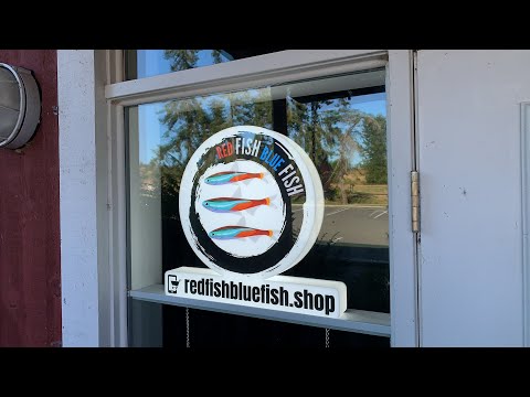 Fish Store Hangout LIVE! Fish Keeping, Planted Tan 