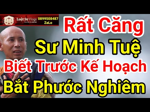 🔴 Tin Mới Nhất Sư Thích Minh Tuệ Biết Trước Kế Hoạch Bắt Phước Nghiêm Thật Không? Luật Sư Vlogs