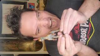 Throwback: BJs Dinosaur Noises (7-15-23)
