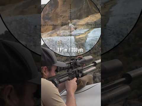 You Won't BELIEVE this Shot! Goose at 190 Meters with an Airgun