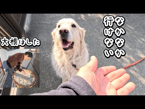 毎度おなじみの行動でなかなか散歩に行けない犬。※大根干した！　＃メイちゃんねる