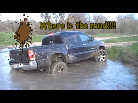 problems with toyota tacoma 2008 #1