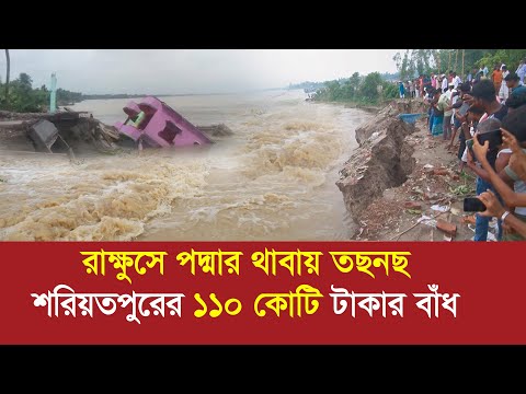 রাক্ষুসে পদ্মার থাবায় তছনছ শরিয়তপুর !! ভেঙ্গে গেছে ১১০ কোটি টাকার বাঁধ ! River erosion in Bangladesh
