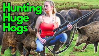 QUEEN OF HOG HUNTING! Tricks Houdini the Wild Boar