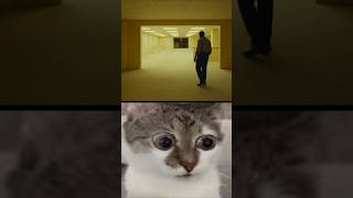 BACKROOMS REACTION #backrooms #backroomsmovie #backroomsgame #backroom #backroomsfoundfootage