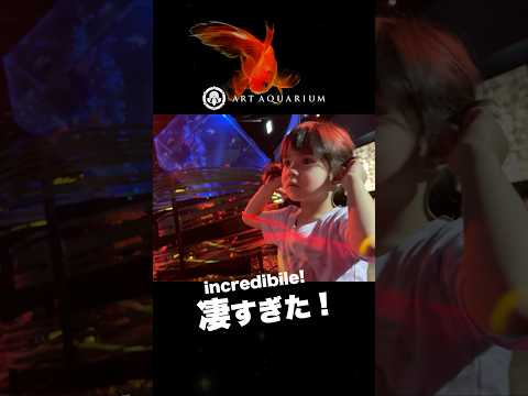 3歳も息をのむ美しさ! #shorts #artaquarium