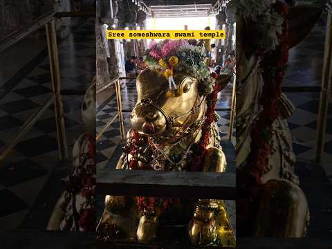 sree someshwaraswami temple #temple #shiva #shots #trending #divine #power #yoga #peace #reels