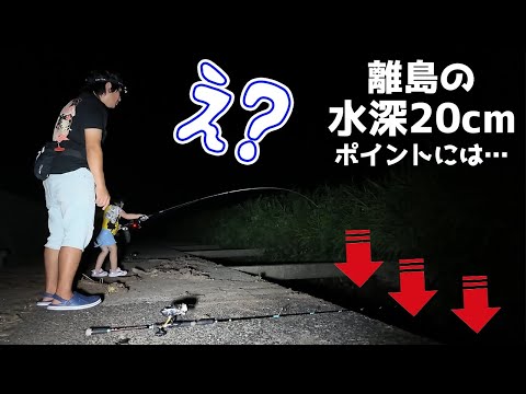 夜の離島の水路で娘と釣りをしたら…