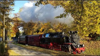 Mecklenburgische Bäderbahn MOLLI