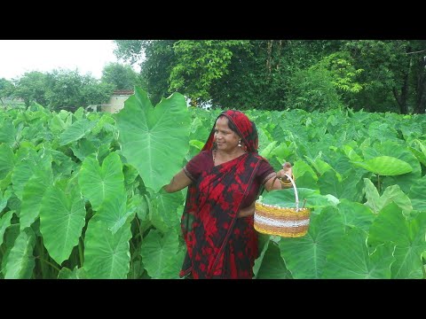 अरबी के पत्तो के कुरकुरा बरा || Arbi Patra ka Bara recipe