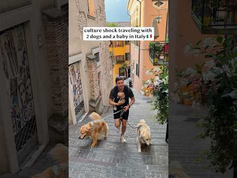 Traveling around Italy with 2 dogs and baby!