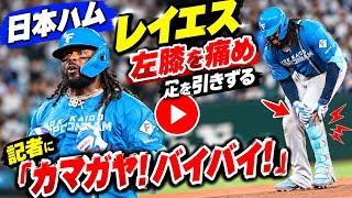日本ハム・レイエス　左膝を痛め足を引きずる記者に「カマガヤ！バイバイ！」