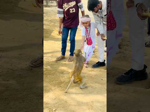 वृन्दावन के नटखट वानर और भागवत #trending #love #fashiontrends #viralvideo #motivation