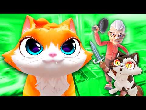 KEDİ OYUNUNDA GİZLİ ODA BULDUM - YENİ GÜNCELLEME