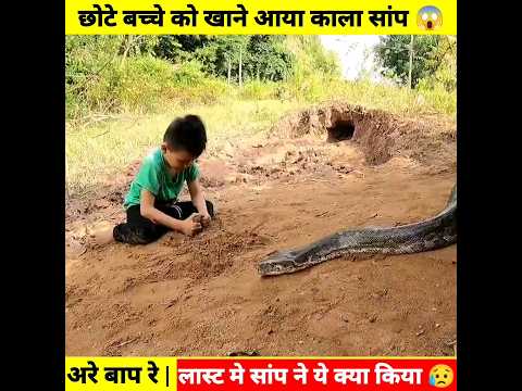 Experiment 71 ➡️ 🐍 Rescue Part 1 )  आया मोटा सांप 😱 #shorts