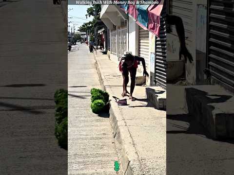 Walking bush with money bag & shampoo #shortvideo