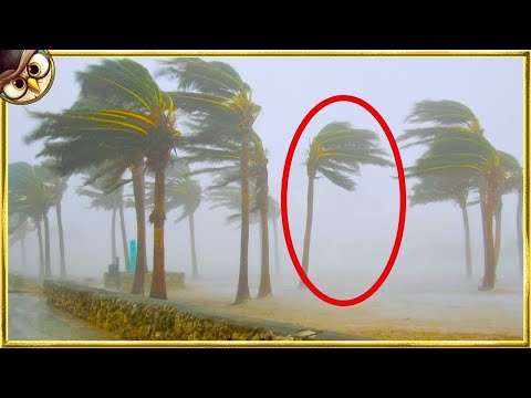 Mysterious and Unexplained Events Caught on Camera