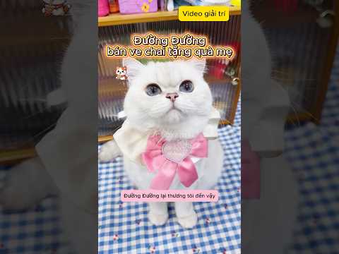 Đường Đường bán ve chai tặng quà mẹ #shorts #viral
