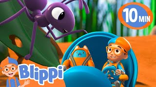 Blippi Meets Anita the Ant! 🐜| Blippi Wonders | Kids Cartoons | Party Playtime!