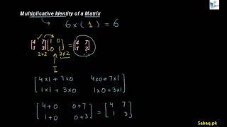 Multiplicative Identity of a Matrix