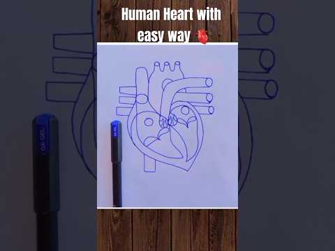 Human Heart with Easy way 🫀 #humanheartdiagram #heart #biology #diagram #bio #shorts