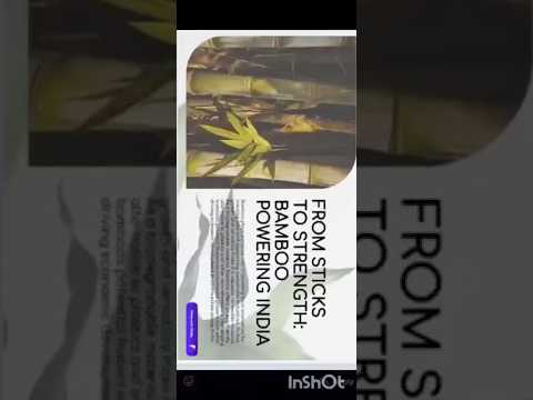 Viksit Bharat 2025 Bamboo Powering India