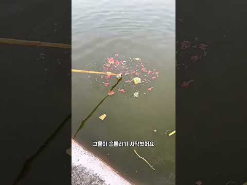 이 할아버지의 <strong>물고기</strong> 잡는 방법은 정말 기발해요!