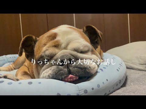 【いつも應援してくださっている皆さまへ】りっちゃんから大切なお話しがあります
