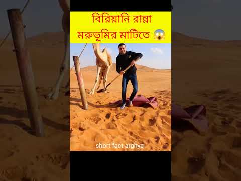 মরুভূমির উপরে গর্ত খুলে সুস্বাদু বিরিয়ানি রান্না 😱 Biryani cooking #briyani #facts @MrABCD
