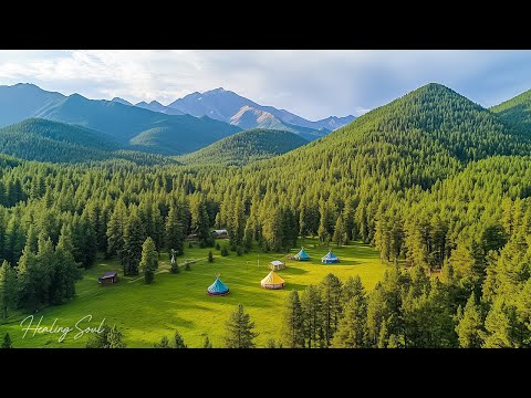 Twilight Canopy - Healing Soul