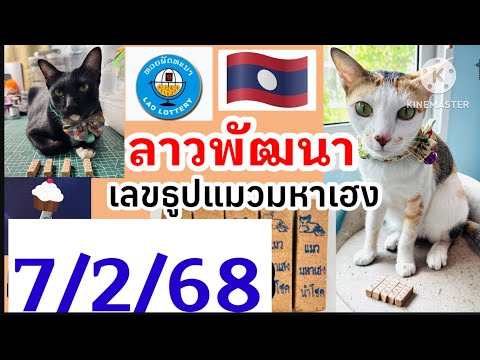 ลาวพัฒนา เลขธูปแมวมหาเฮง 7/2/68