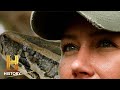Snake Encounters and Habitats
