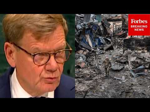 'Russia's War Targets The Lives Of Millions Of Innocent People': German FM Calls For Ukraine Peace Episode cover