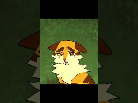 Lionkit don't wanna get married