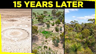 Australia Planted 30 Million Trees In The Desert... What Returned 15 Years Later is Unbelievable