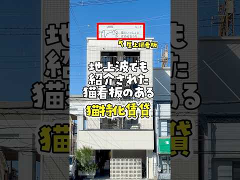 【人も住める猫可賃貸】収納が穴だらけ!猫のために収納をくり抜きました #ねこ #ルームツアー #ねこ物件