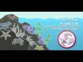 Aquatic Ecosystems and Organisms