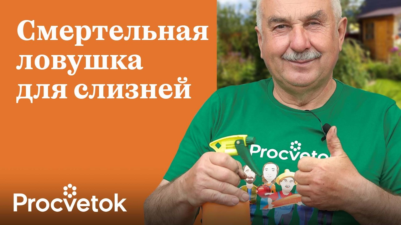Слизни уйдут и не вернутся! Не дайте слизням перезимовать - приготовьте им смертельную ловушку