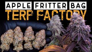 CAN I GROW ENOUGH TO SUPPLY MYSELF | 2026 MULTI-TENT HARVEST