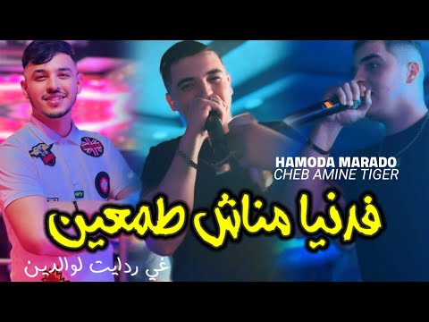 Cheb Amine Tiger Fa Daniya Manach Tam3in Ri Rdayat Lwaldin Avec Hamoda Maradona Live 2024