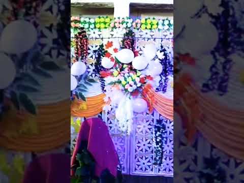 trending, short video