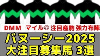 【DMMバヌーシー2025】大注目募集馬3頭を評価【シャンパンレディの24/シスタリーラヴの24】