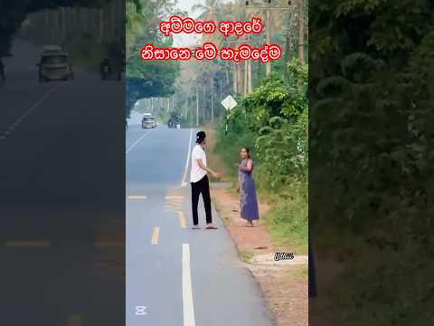 අනේ ඒ අම්මගෙ ආදරේ🥺 #bikelover #sl #trending #motherlove #bikelife #rider #love #amma #highcapacity