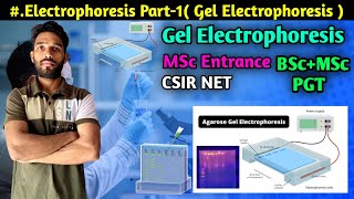 Electrophoresis Technique Part-1 || Gel Electrophoresis || BSc || MSc || CSIR NET || PGT || NEET