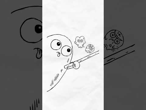 Der OBI kippt um!!! 😱🚪 @plankton.mp4