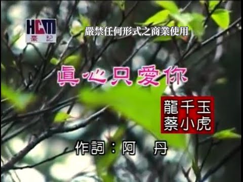 蔡小虎vs龍千玉-真心只愛你(官方KTV版)